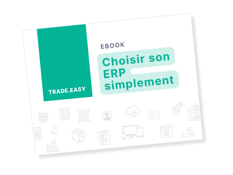 Ebook Choisir son ERP